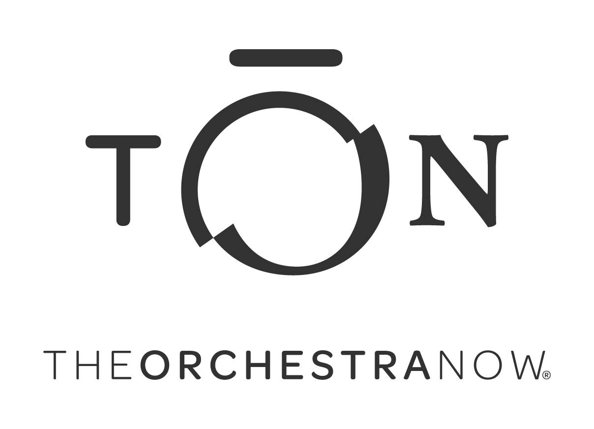 TON Logo